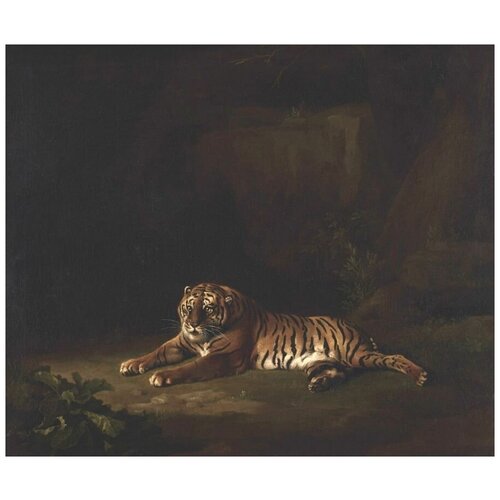     (1769-1771) (Tiger)   36. x 30. 1130