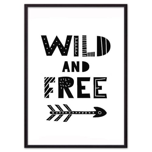 Wild & Free  30  40  ( :30  40 ) 2990