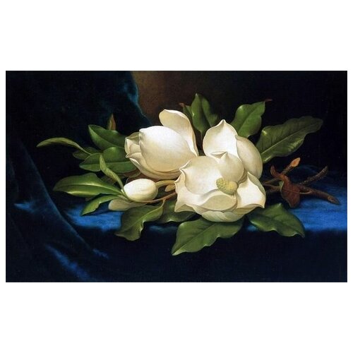        (Giant Magnolias on a Blue Velvet Cloth)    65. x 40. 2070