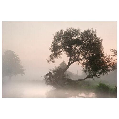       (Fog over the lake) 7 45. x 30. 1340
