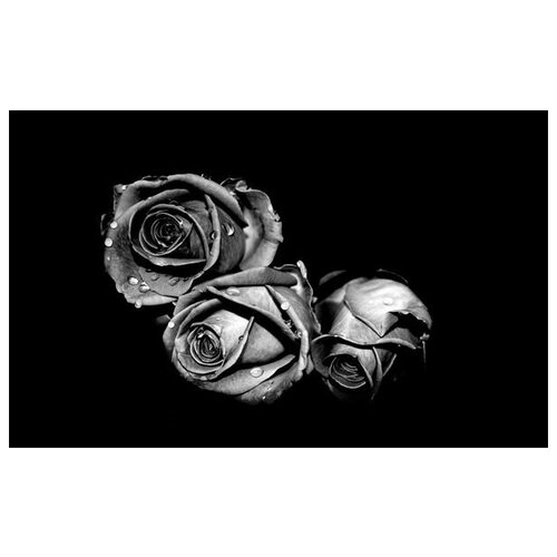     (Roses) 8 48. x 30. 1410