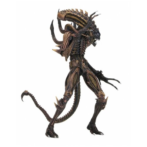 Neca  Alien  Scorpion  3499