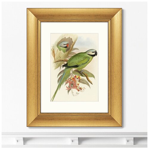     Love parrots II, 1851.  : 40,550,5 8199