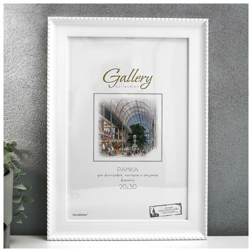   Gallery 2030 , 641761  ( ) 856