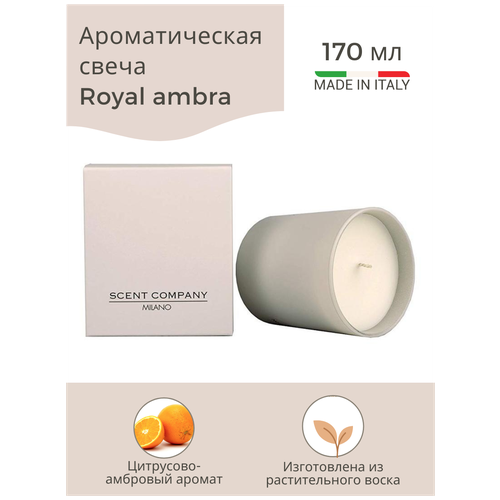   ROYAL AMBRA ( ) 170 4800